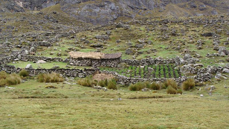 Illampu Trek Steves (68).JPG